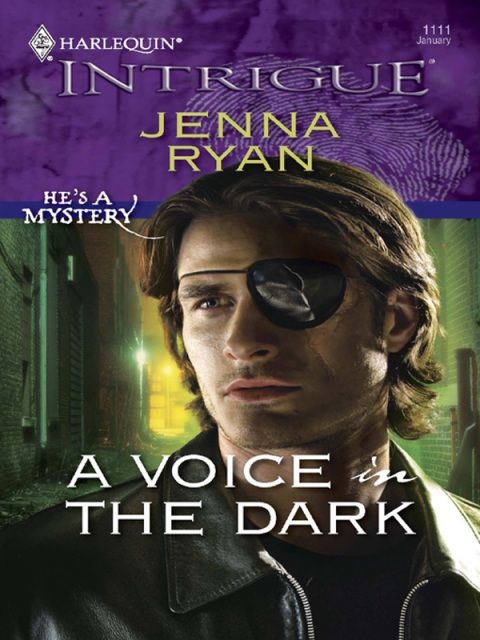 Cover image for book A Voice in the Dark