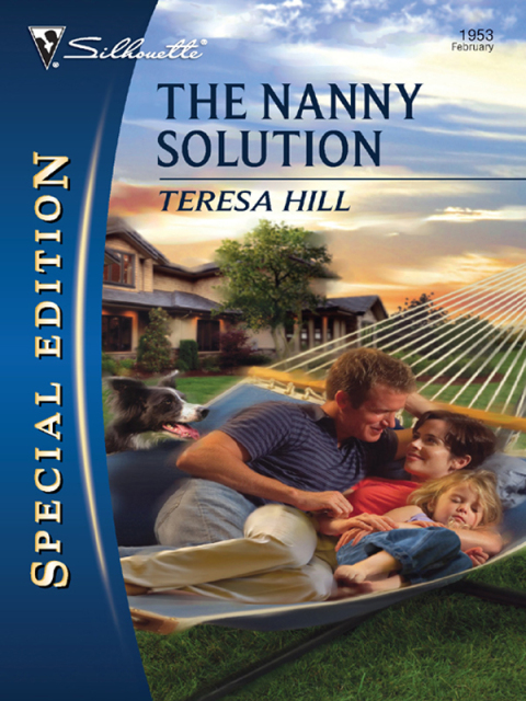 Cover image for book The Nanny Solution