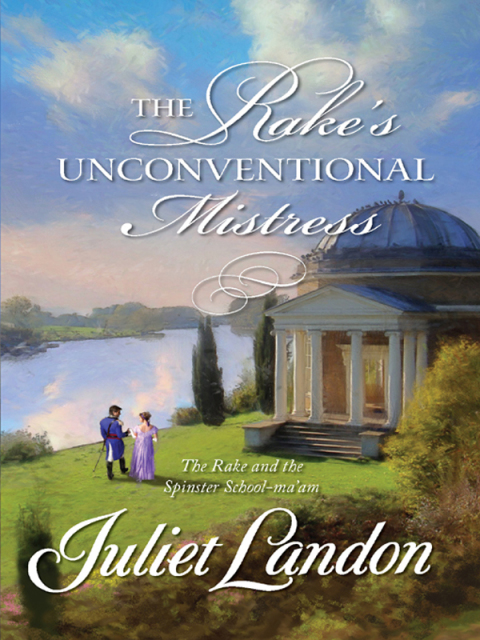 Cover image for book The Rake's Unconventional Mistress