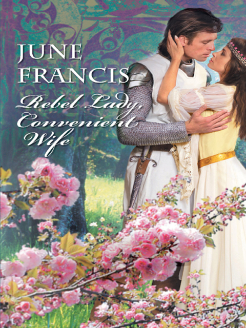 Cover image for book Rebel Lady, Convenient Wife