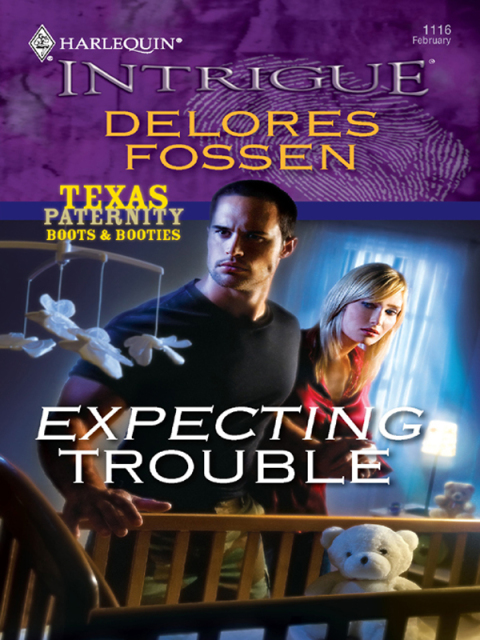 Cover image for book Expecting Trouble