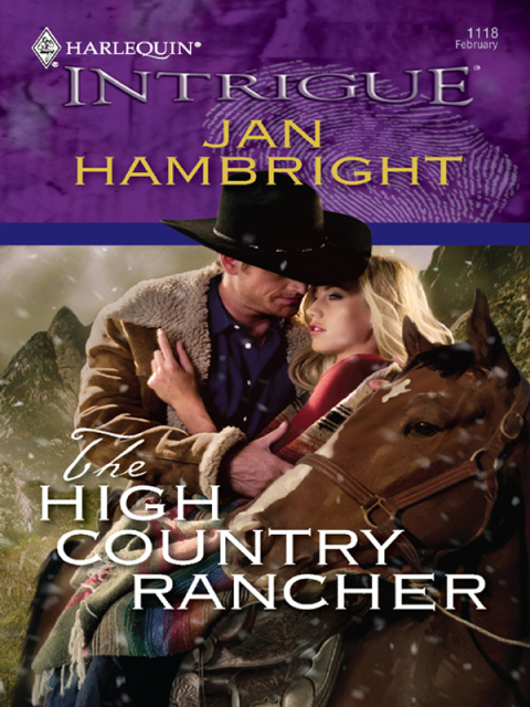 Cover image for book The High Country Rancher