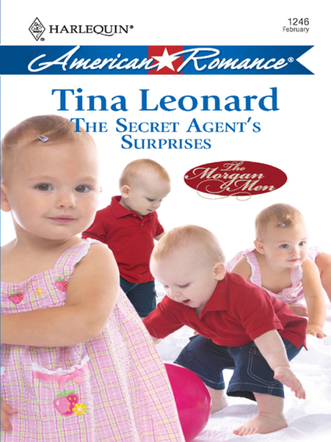 Cover image for book The Secret Agent's Surprises