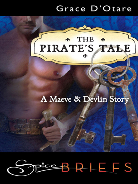 Cover image for book The Pirate's Tale