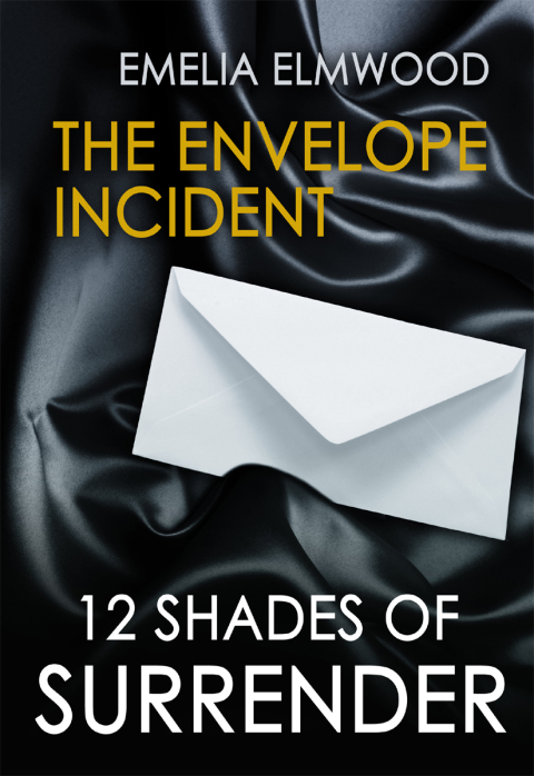 Cover image for book The Envelope Incident