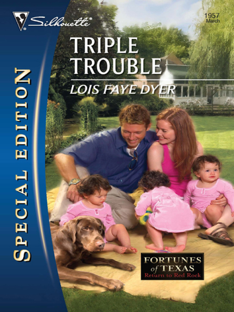 Cover image for book Triple Trouble