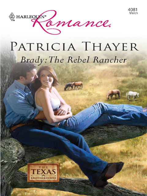 Cover image for book Brady: The Rebel Rancher