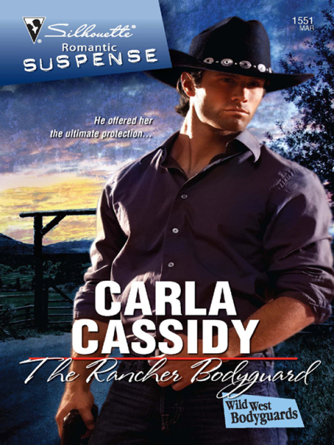 Cover image for book The Rancher Bodyguard