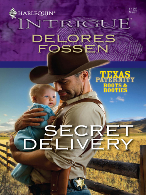 Cover image for book Secret Delivery