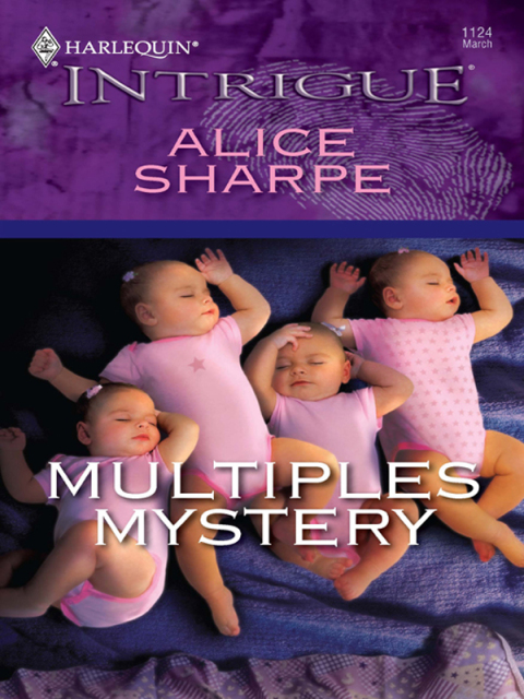 Cover image for book Multiples Mystery