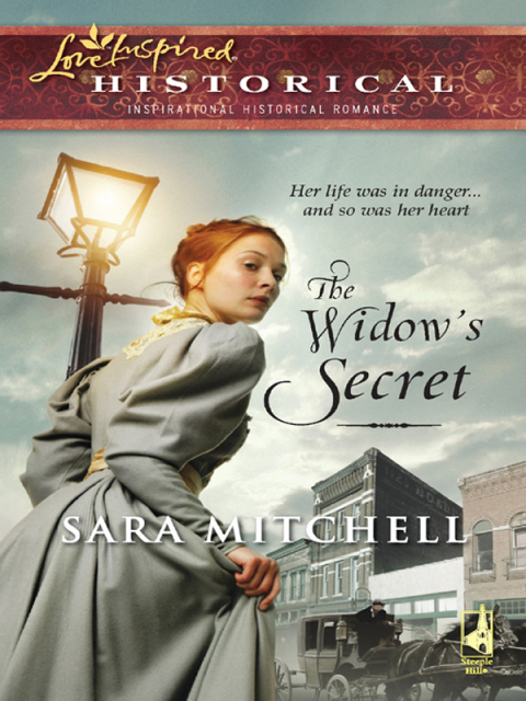 Cover image for book The Widow's Secret