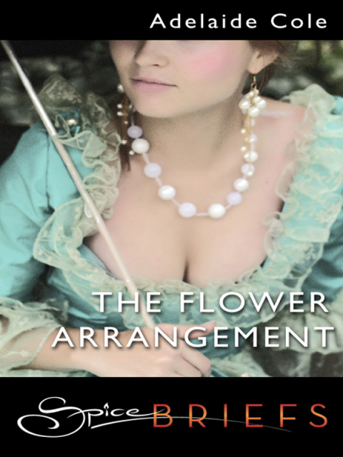 Cover image for book The Flower Arrangement