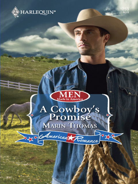 Cover image for book A Cowboy's Promise