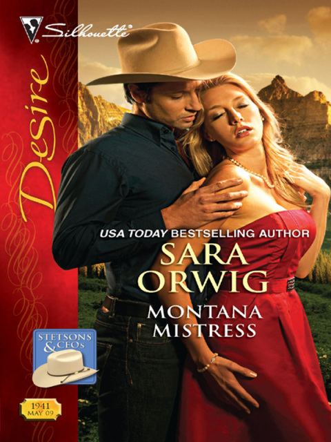 Cover image for book Montana Mistress