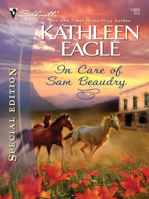 Cover image for book In Care of Sam Beaudry