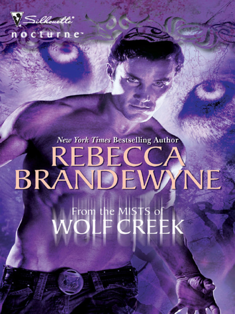 Cover image for book From the Mists of Wolf Creek