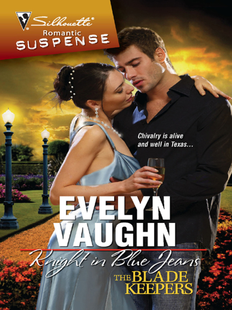 Cover image for book Knight in Blue Jeans