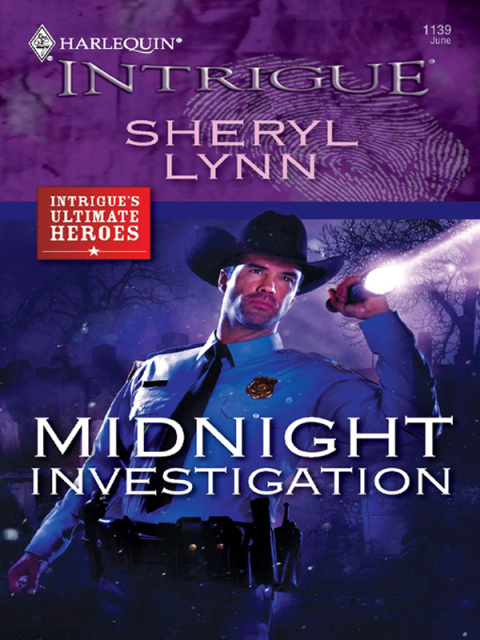 Cover image for book Midnight Investigation