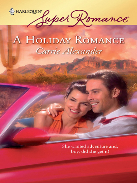 Cover image for book A Holiday Romance