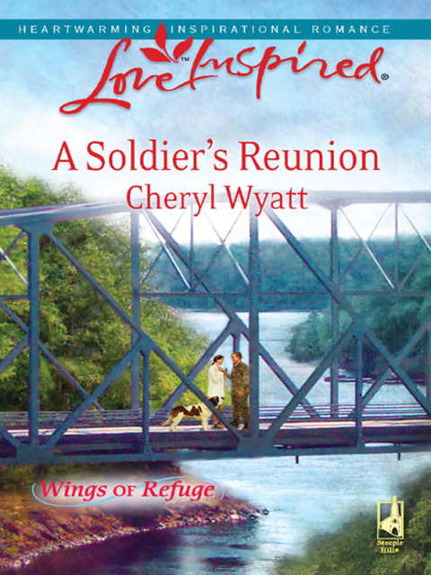 Cover image for book A Soldier's Reunion