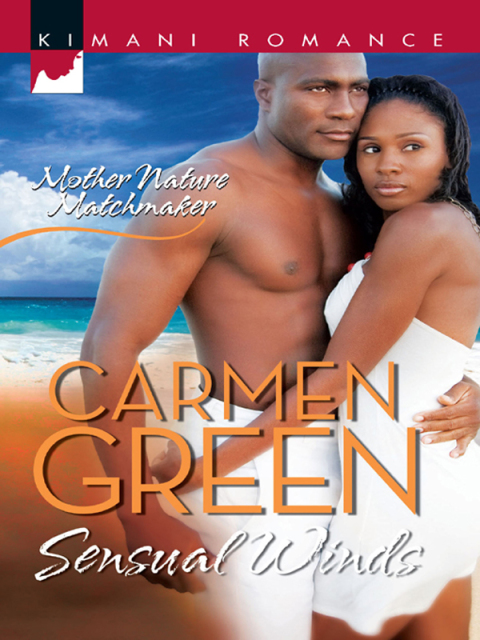 Cover image for book Sensual Winds