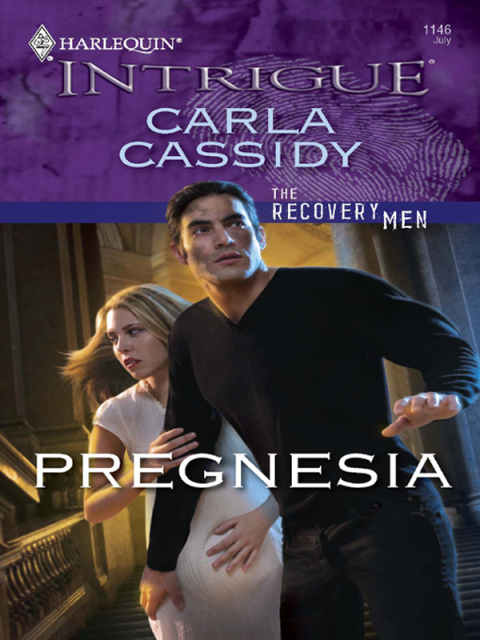 Cover image for book Pregnesia