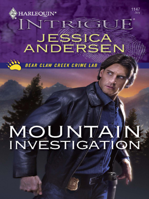 Cover image for book Mountain Investigation
