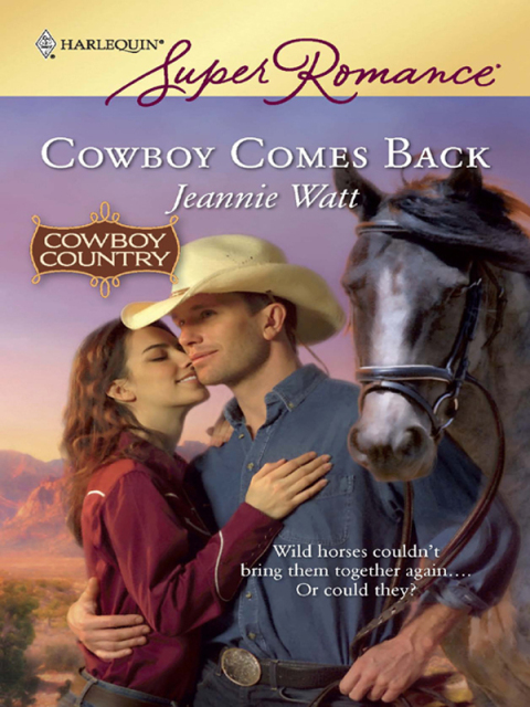 Cover image for book Cowboy Comes Back