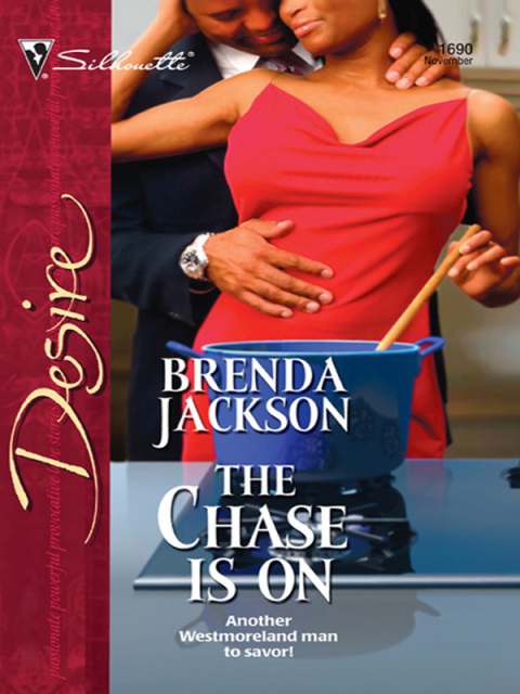 Cover image for book The Chase Is On