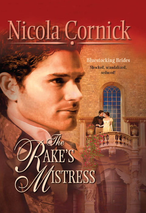 Cover image for book The Rake's Mistress