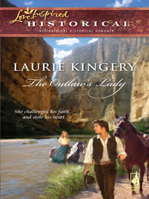 Cover image for book The Outlaw's Lady