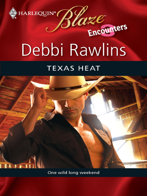 Cover image for book Texas Heat