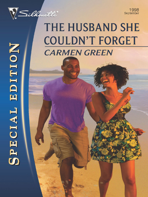 Cover image for book The Husband She Couldn't Forget