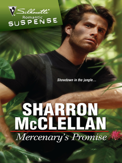 Cover image for book Mercenary's Promise