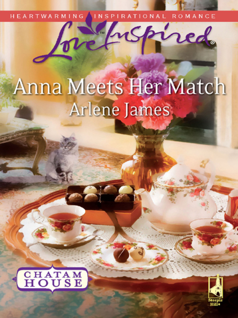 Cover image for book Anna Meets Her Match