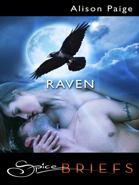 Cover image for book Raven