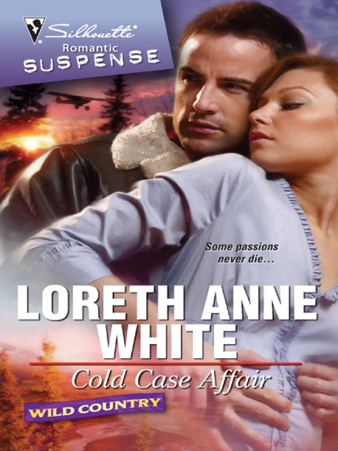 Cover image for book Cold Case Affair