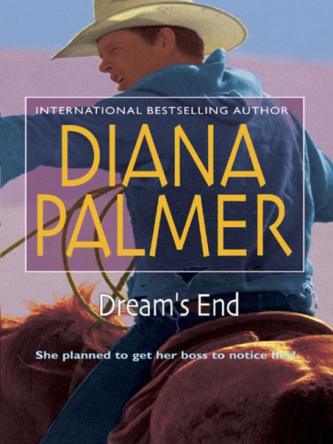 Cover image for book Dream's End
