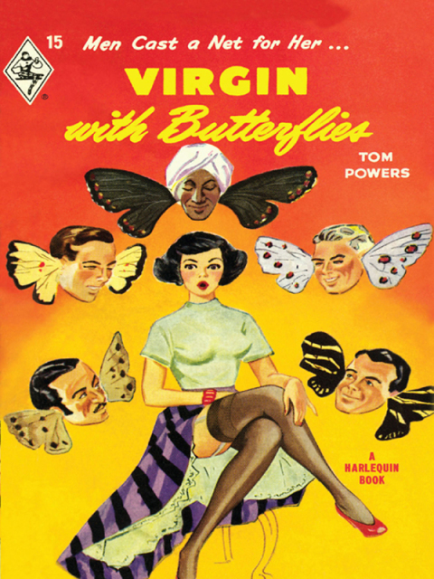 Cover image for book Virgin With Butterflies