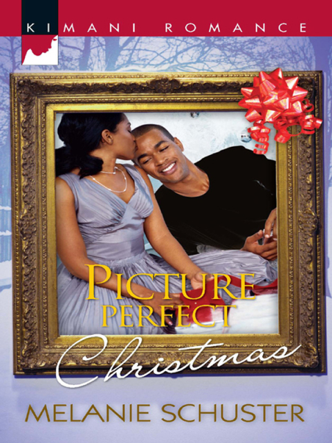 Cover image for book Picture Perfect Christmas