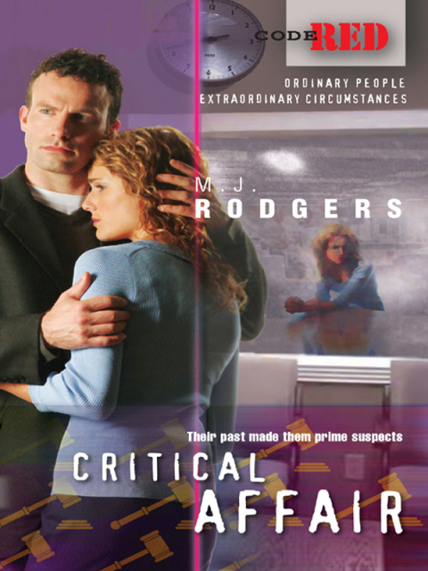 Cover image for book Critical Affair