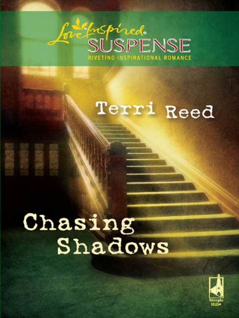 Cover image for book Chasing Shadows