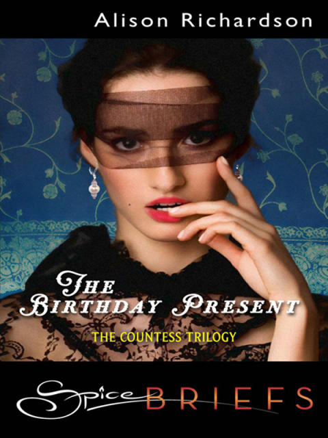 Cover image for book The Birthday Present
