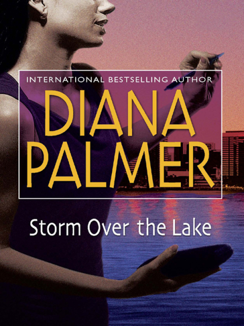 Cover image for book Storm Over the Lake