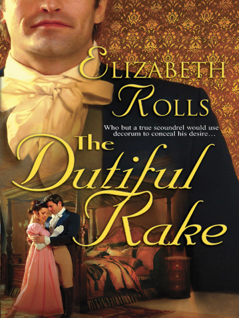 Cover image for book The Dutiful Rake