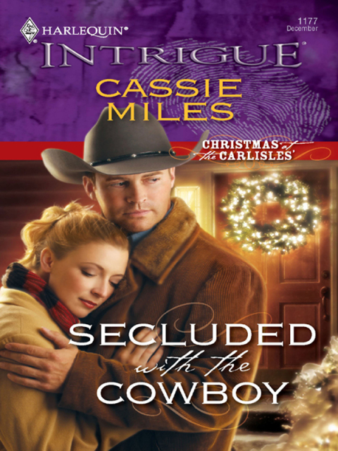 Cover image for book Secluded with the Cowboy