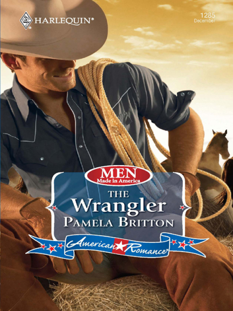 Cover image for book The Wrangler