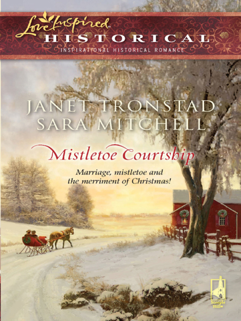 Cover image for book Mistletoe Courtship