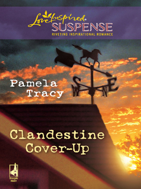 Cover image for book Clandestine Cover-Up