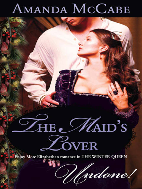 Cover image for book The Maid's Lover
